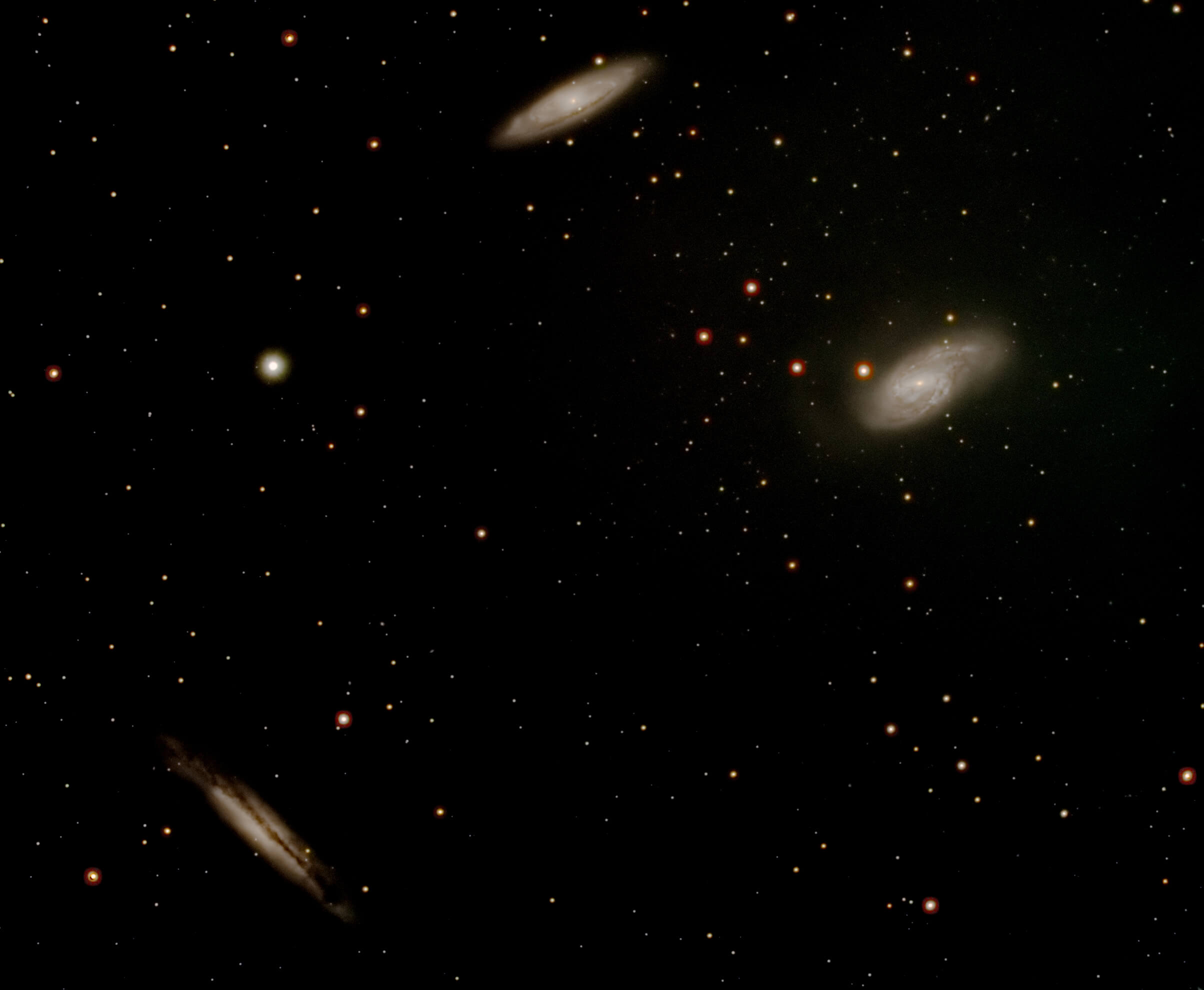 Leo Triplet.jpg