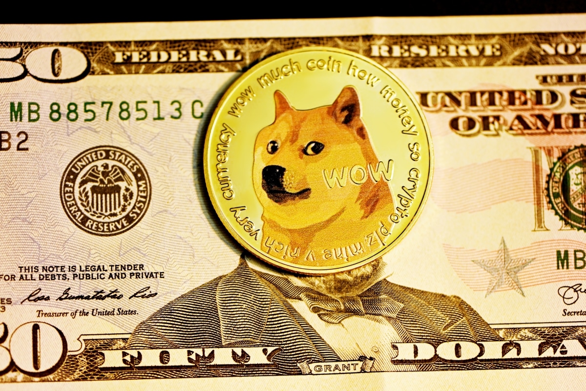 doge-us.jpg