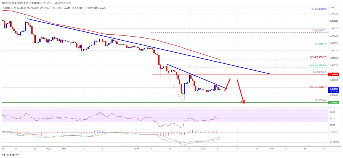 Cardano-ADA.png